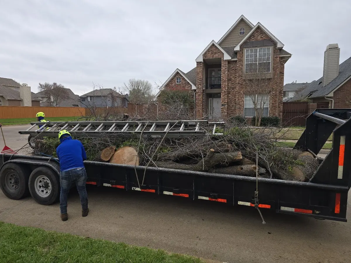 Expert Lot Clearing with proper safety equipment in Windermere
